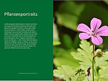 Pflanzenportraits