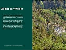 Vielfalt der Wälder