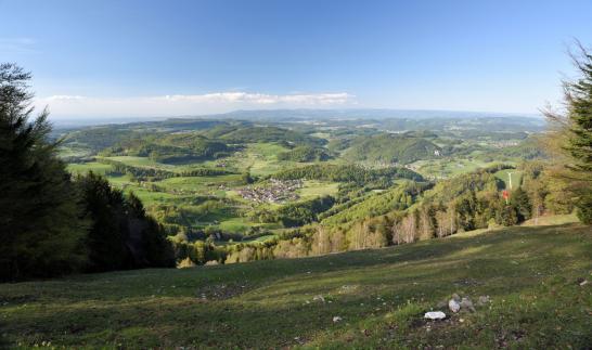 Panorama von der Hohwacht    Foto: Thomas Mosimann