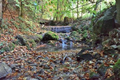 Wassertiefstand im Ämlisbach am 25. Oktober 2018 Foto: Thomas Mosimann