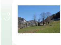 Loueler Bott März 2018