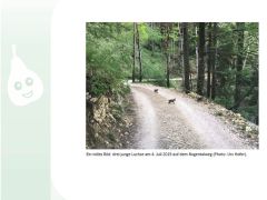 Loueler Bott September 2019