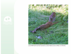 Loueler Bott September 2021