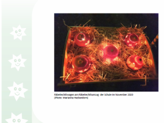 Loueler Bott Januar 2021