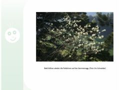 Loueler Bott März 2022