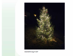 Louler Bott Januar 2026