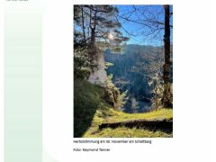 Louler Bott Januar 2025